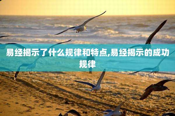 易经揭示了什么规律和特点,易经揭示的成功规律