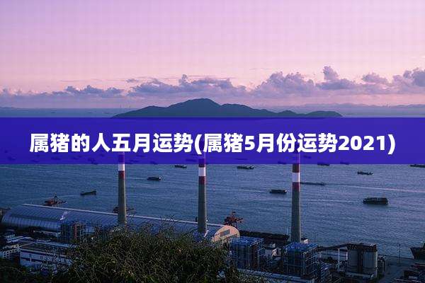 属猪的人五月运势(属猪5月份运势2021)
