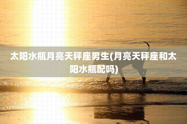 太阳水瓶月亮天秤座男生(月亮天秤座和太阳水瓶配吗)
