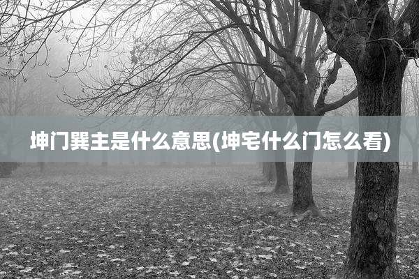 坤门巽主是什么意思(坤宅什么门怎么看)