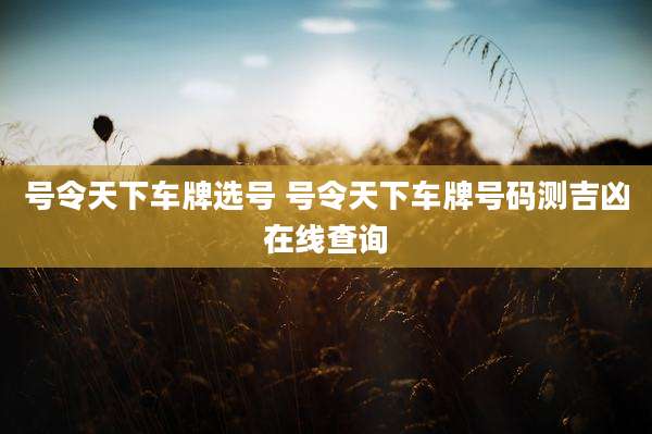 号令天下车牌选号 号令天下车牌号码测吉凶在线查询