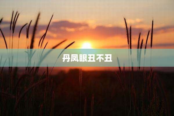 丹凤眼丑不丑