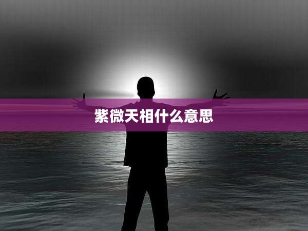 紫微天相什么意思