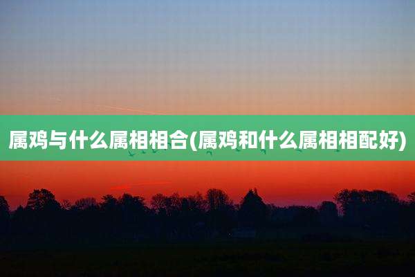 属鸡与什么属相相合(属鸡和什么属相相配好)