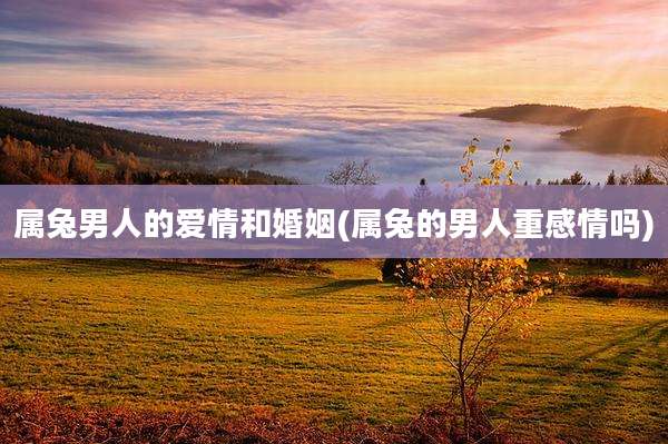 属兔男人的爱情和婚姻(属兔的男人重感情吗)