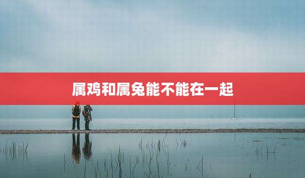 属鸡和属兔能不能在一起