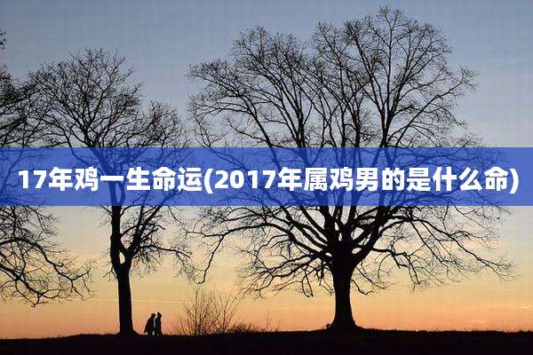 17年鸡一生命运(2017年属鸡男的是什么命)
