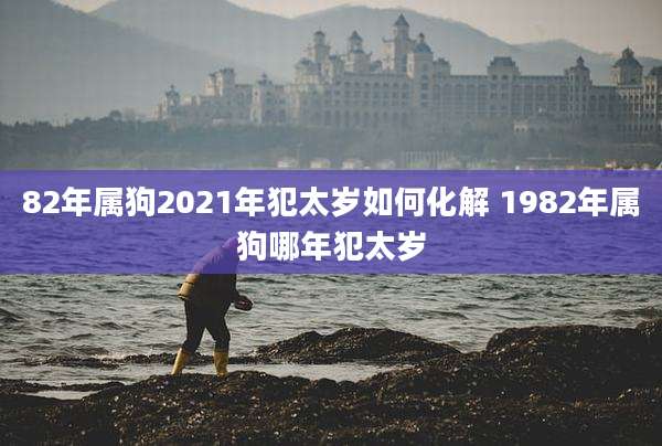 82年属狗2021年犯太岁如何化解 1982年属狗哪年犯太岁