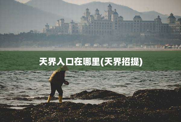天界入口在哪里(天界招提)