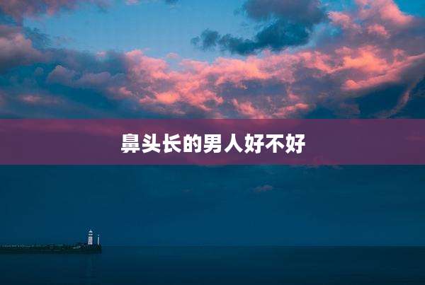 鼻头长的男人好不好