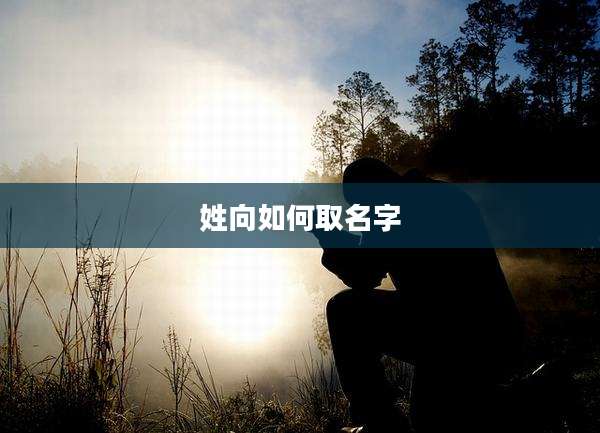 姓向如何取名字