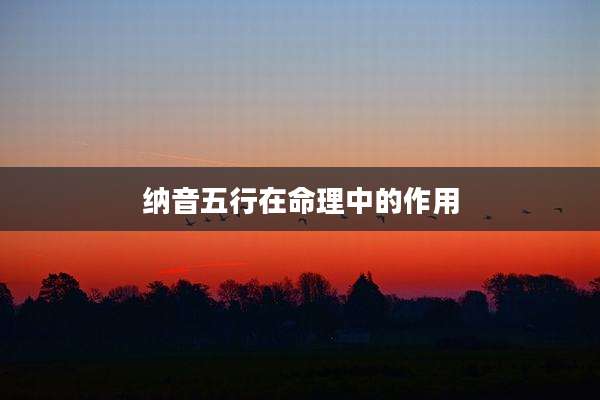 纳音五行在命理中的作用