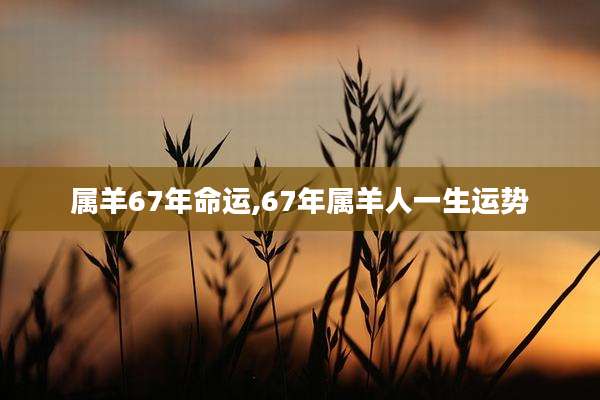 属羊67年命运,67年属羊人一生运势
