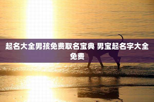 起名大全男孩免费取名宝典 男宝起名字大全免费