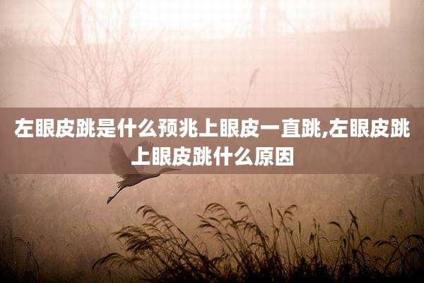 左眼皮跳是什么预兆上眼皮一直跳,左眼皮跳上眼皮跳什么原因