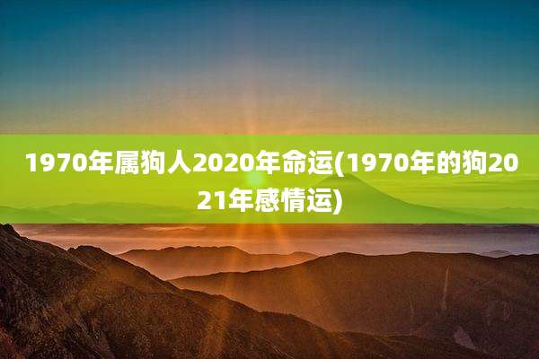 1970年属狗人2020年命运(1970年的狗2021年感情运)