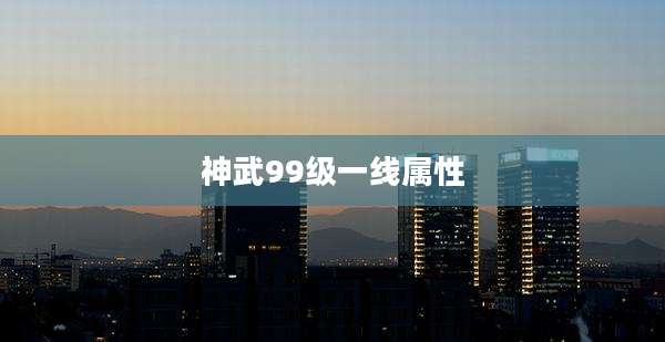 神武99级一线属性