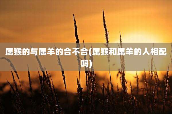 属猴的与属羊的合不合(属猴和属羊的人相配吗)