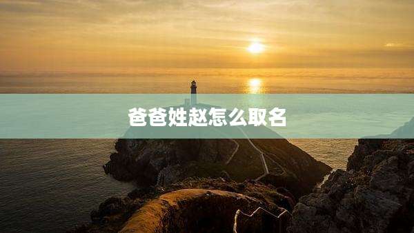 爸爸姓赵怎么取名