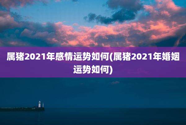 属猪2021年感情运势如何(属猪2021年婚姻运势如何)