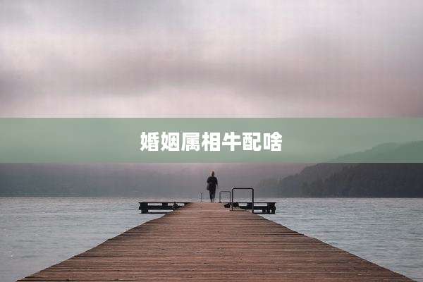 婚姻属相牛配啥