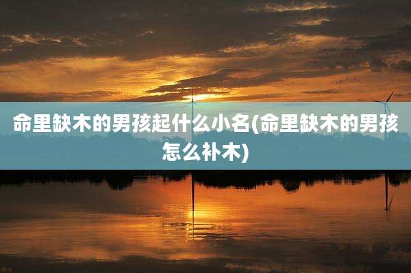 命里缺木的男孩起什么小名(命里缺木的男孩怎么补木)