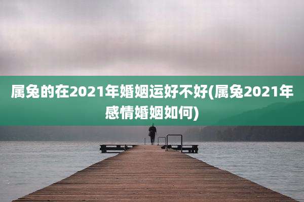 属兔的在2021年婚姻运好不好(属兔2021年感情婚姻如何)