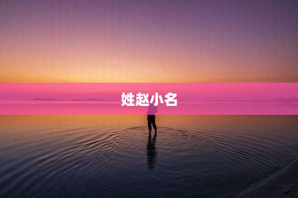 姓赵小名
