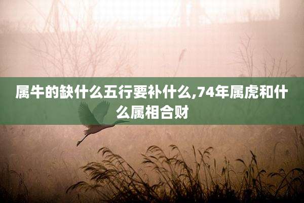 属牛的缺什么五行要补什么,74年属虎和什么属相合财