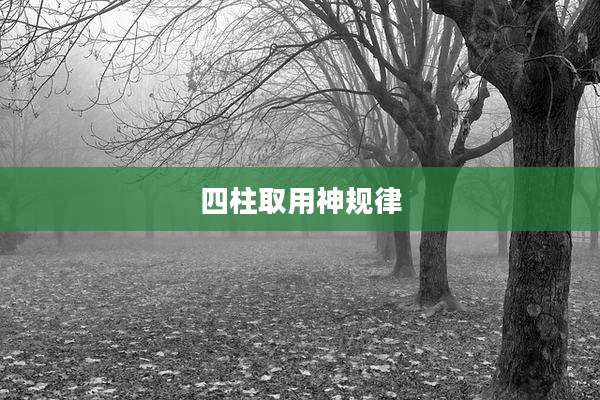 四柱取用神规律