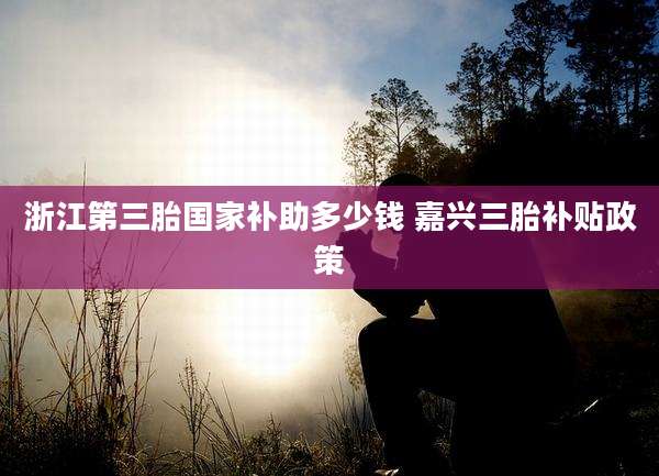 浙江第三胎国家补助多少钱 嘉兴三胎补贴政策