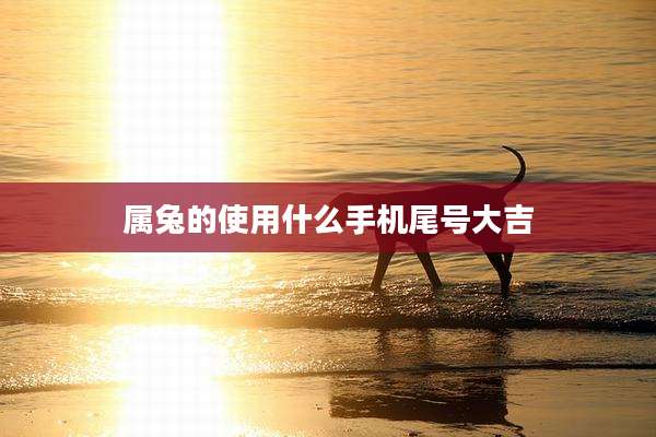 属兔的使用什么手机尾号大吉