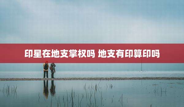 印星在地支掌权吗 地支有印算印吗