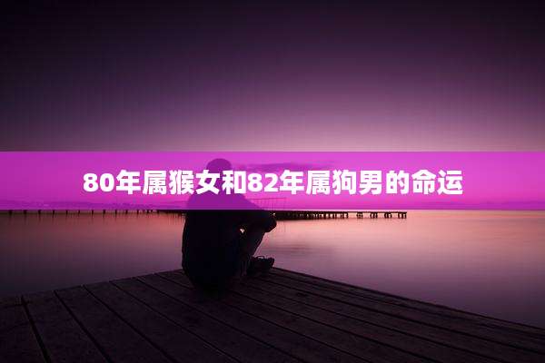 80年属猴女和82年属狗男的命运