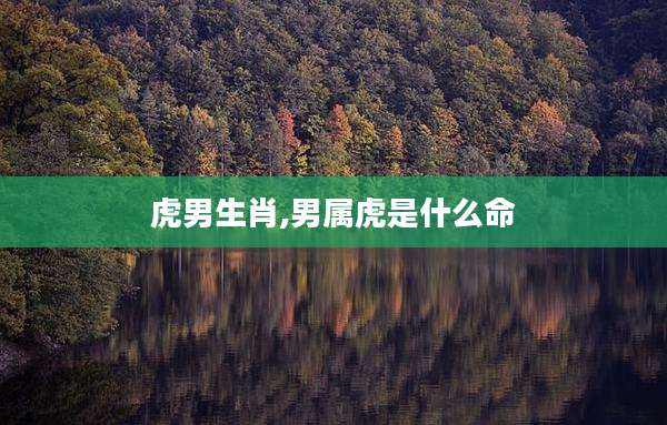 虎男生肖,男属虎是什么命