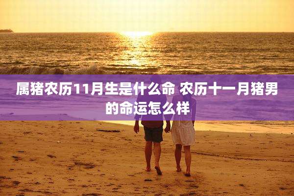 属猪农历11月生是什么命 农历十一月猪男的命运怎么样