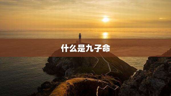 什么是九子命
