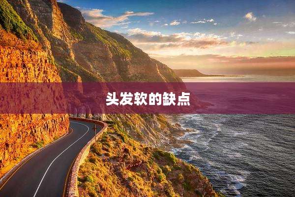 头发软的缺点