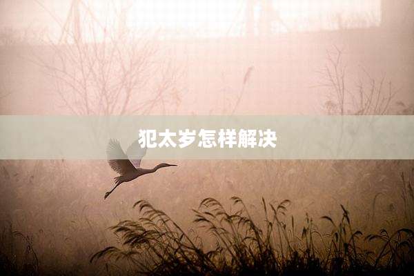 犯太岁怎样解决