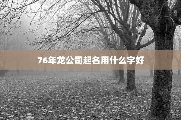 76年龙公司起名用什么字好