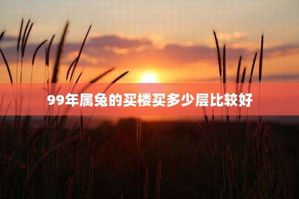 99年属兔的买楼买多少层比较好