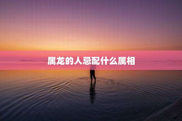 属龙的人忌配什么属相