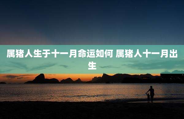 属猪人生于十一月命运如何 属猪人十一月出生