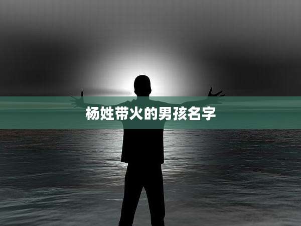 杨姓带火的男孩名字