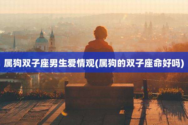 属狗双子座男生爱情观(属狗的双子座命好吗)