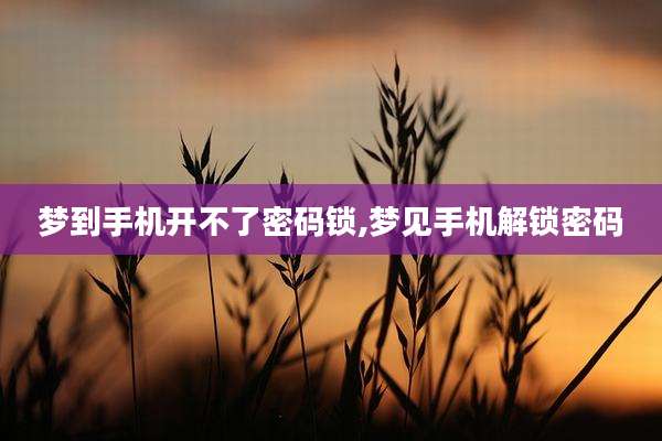 梦到手机开不了密码锁,梦见手机解锁密码