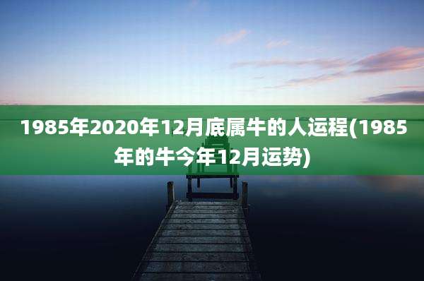 1985年2020年12月底属牛的人运程(1985年的牛今年12月运势)