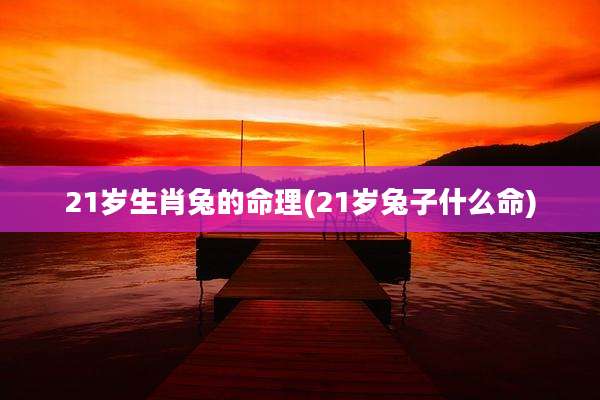 21岁生肖兔的命理(21岁兔子什么命)