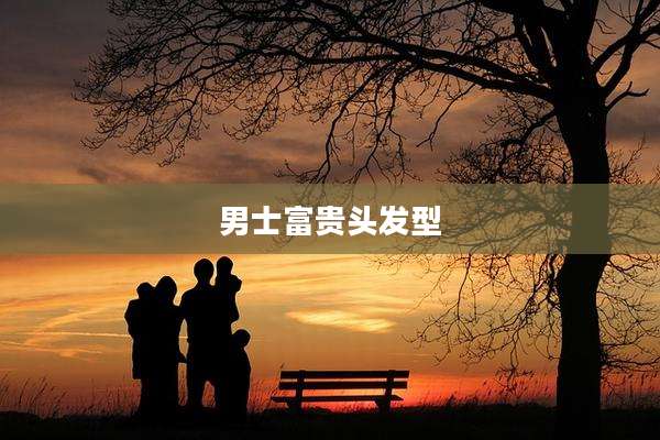 男士富贵头发型