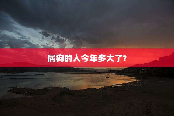 属狗的人今年多大了?